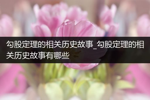 勾股定理的相关历史故事_勾股定理的相关历史故事有哪些