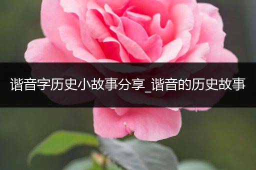 谐音字历史小故事分享_谐音的历史故事