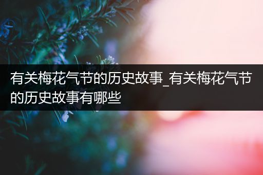 有关梅花气节的历史故事_有关梅花气节的历史故事有哪些