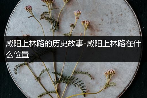 咸阳上林路的历史故事-咸阳上林路在什么位置