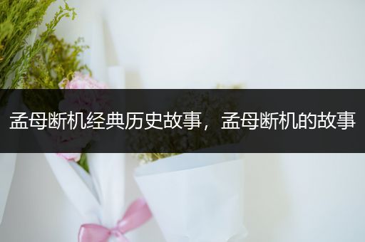 孟母断机经典历史故事，孟母断机的故事