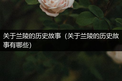 关于兰陵的历史故事（关于兰陵的历史故事有哪些）