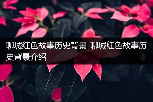 聊城红色故事历史背景_聊城红色故事历史背景介绍