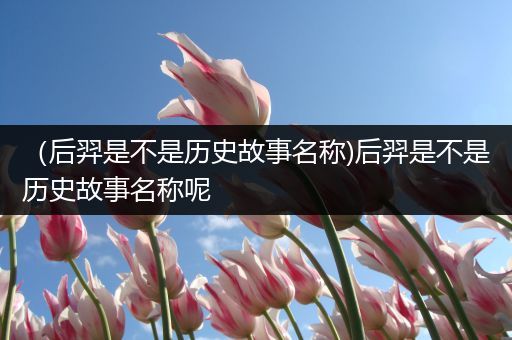 （后羿是不是历史故事名称)后羿是不是历史故事名称呢