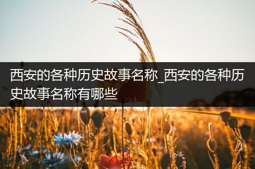 西安的各种历史故事名称_西安的各种历史故事名称有哪些