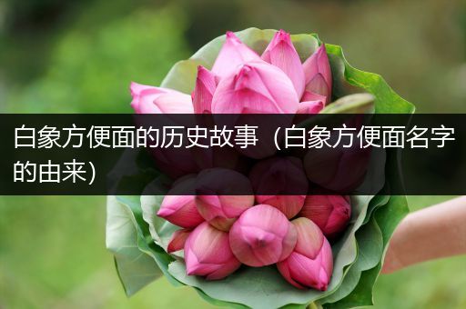 白象方便面的历史故事（白象方便面名字的由来）