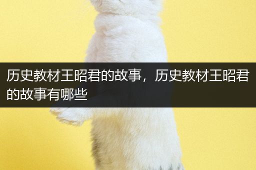 历史教材王昭君的故事，历史教材王昭君的故事有哪些