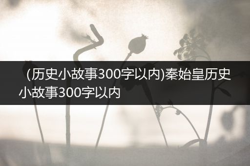 （历史小故事300字以内)秦始皇历史小故事300字以内