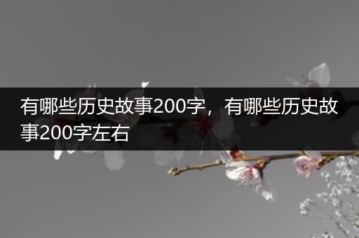 有哪些历史故事200字，有哪些历史故事200字左右