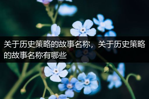 关于历史策略的故事名称，关于历史策略的故事名称有哪些