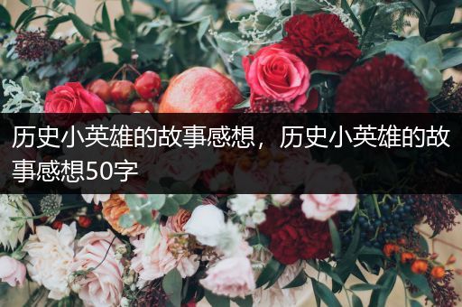 历史小英雄的故事感想，历史小英雄的故事感想50字