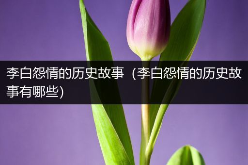 李白怨情的历史故事（李白怨情的历史故事有哪些）