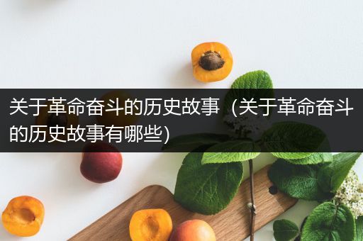 关于革命奋斗的历史故事（关于革命奋斗的历史故事有哪些）