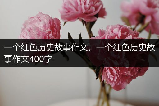 一个红色历史故事作文，一个红色历史故事作文400字