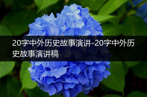 20字中外历史故事演讲-20字中外历史故事演讲稿