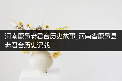 河南鹿邑老君台历史故事_河南省鹿邑县老君台历史记载