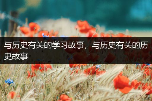 与历史有关的学习故事，与历史有关的历史故事