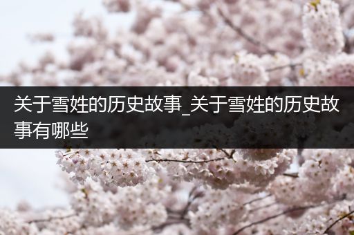 关于雪姓的历史故事_关于雪姓的历史故事有哪些