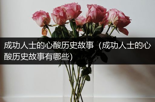 成功人士的心酸历史故事（成功人士的心酸历史故事有哪些）