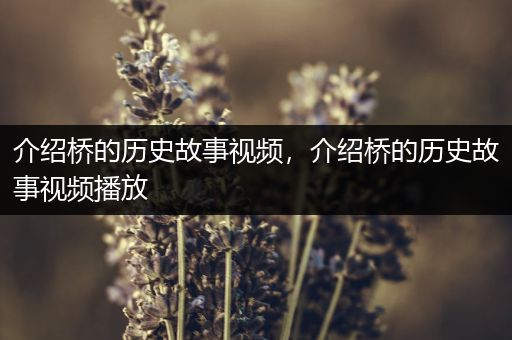 介绍桥的历史故事视频，介绍桥的历史故事视频播放