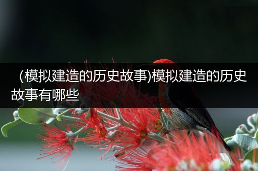 （模拟建造的历史故事)模拟建造的历史故事有哪些