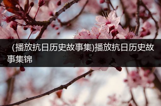 （播放抗日历史故事集)播放抗日历史故事集锦