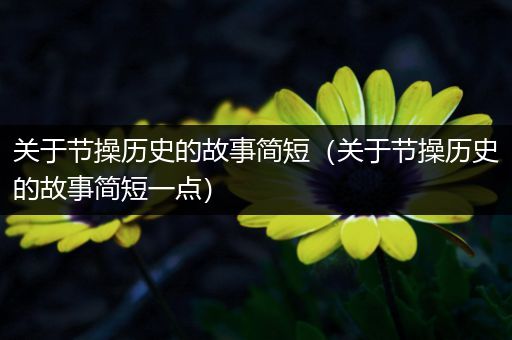 关于节操历史的故事简短（关于节操历史的故事简短一点）