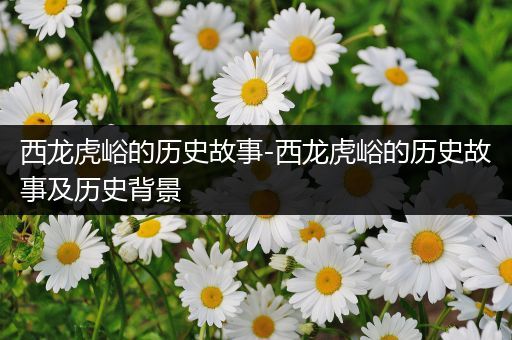 西龙虎峪的历史故事-西龙虎峪的历史故事及历史背景