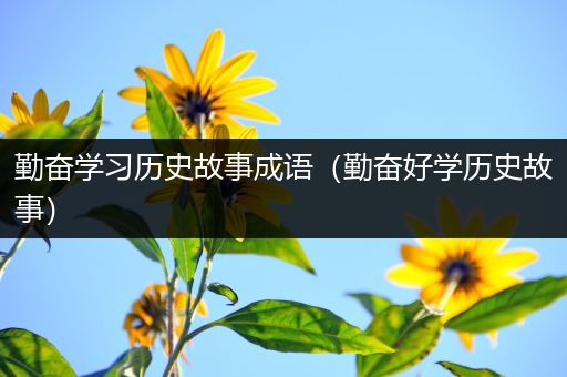 勤奋学习历史故事成语（勤奋好学历史故事）