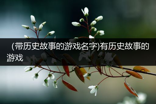 （带历史故事的游戏名字)有历史故事的游戏