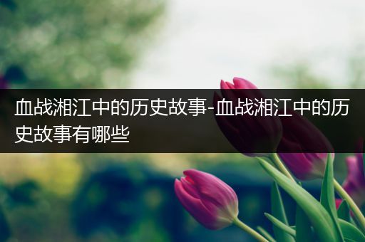 血战湘江中的历史故事-血战湘江中的历史故事有哪些