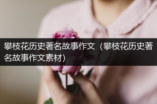 攀枝花历史著名故事作文（攀枝花历史著名故事作文素材）