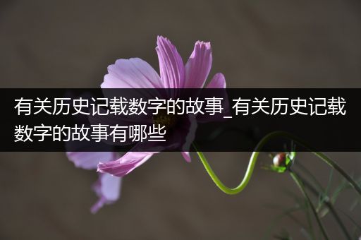 有关历史记载数字的故事_有关历史记载数字的故事有哪些