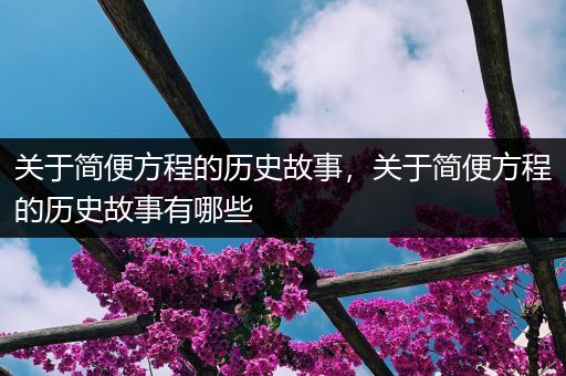 关于简便方程的历史故事，关于简便方程的历史故事有哪些