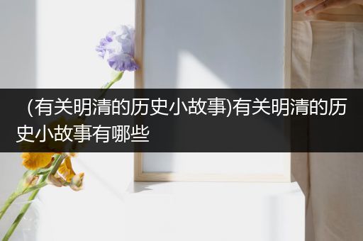 （有关明清的历史小故事)有关明清的历史小故事有哪些