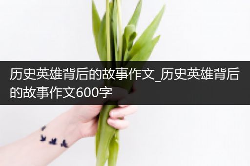 历史英雄背后的故事作文_历史英雄背后的故事作文600字