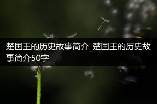 楚国王的历史故事简介_楚国王的历史故事简介50字