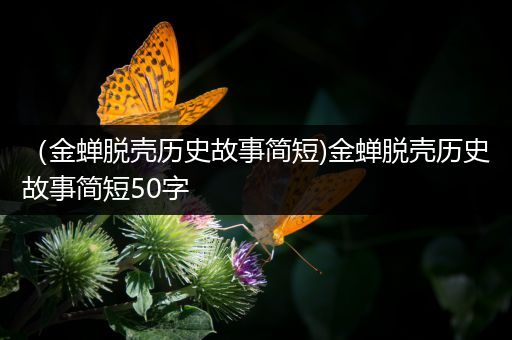 （金蝉脱壳历史故事简短)金蝉脱壳历史故事简短50字