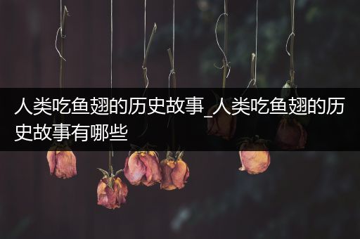 人类吃鱼翅的历史故事_人类吃鱼翅的历史故事有哪些