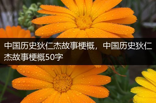 中国历史狄仁杰故事梗概，中国历史狄仁杰故事梗概50字