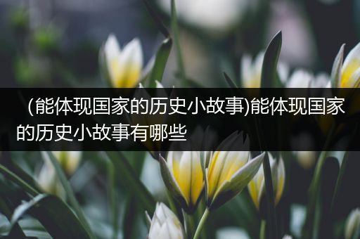 （能体现国家的历史小故事)能体现国家的历史小故事有哪些