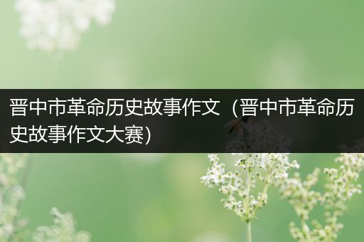 晋中市革命历史故事作文（晋中市革命历史故事作文大赛）