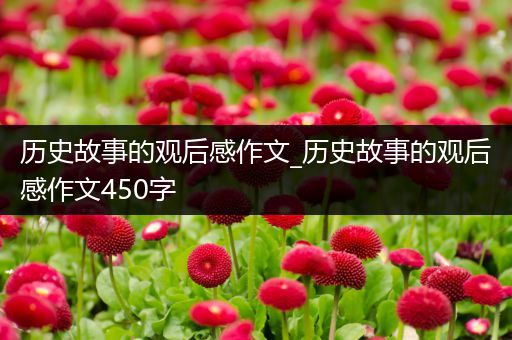 历史故事的观后感作文_历史故事的观后感作文450字