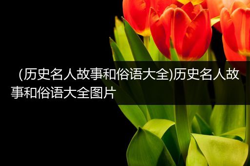 （历史名人故事和俗语大全)历史名人故事和俗语大全图片