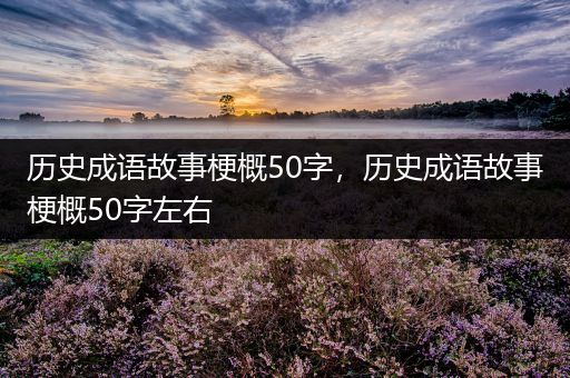 历史成语故事梗概50字，历史成语故事梗概50字左右