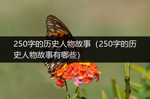 250字的历史人物故事（250字的历史人物故事有哪些）