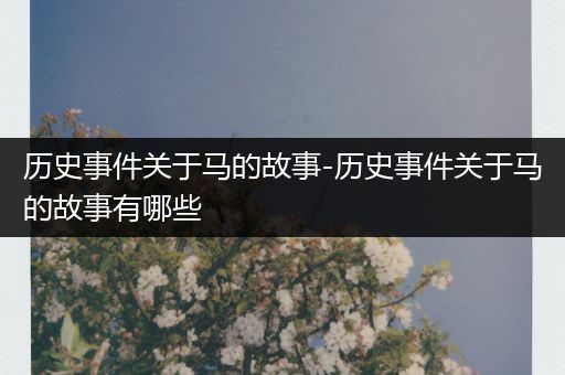 历史事件关于马的故事-历史事件关于马的故事有哪些