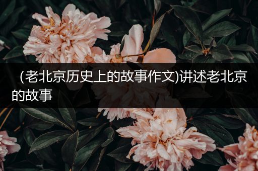 （老北京历史上的故事作文)讲述老北京的故事