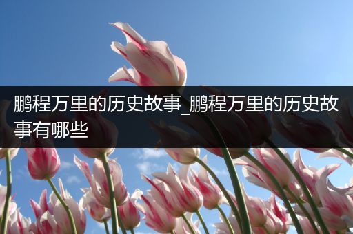 鹏程万里的历史故事_鹏程万里的历史故事有哪些