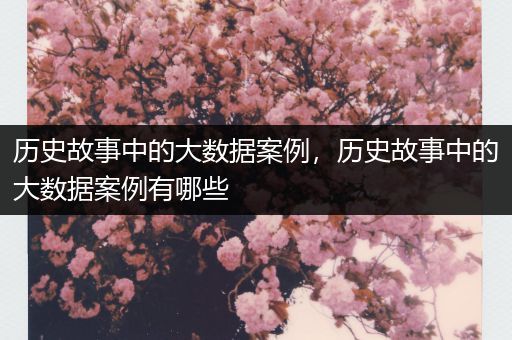 历史故事中的大数据案例，历史故事中的大数据案例有哪些